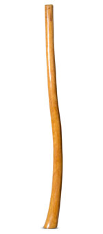 Gloss Finish Didgeridoo (TW1270)
